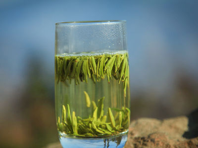 竹葉青茶怎么樣，檔次較高味道略苦價格比較貴