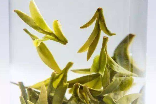 烏牛早和龍井的區(qū)別圖片，龍井43號和烏牛早茶的對比