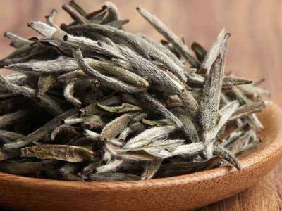 白茶有哪些品種排名，<a href=http://www.robertaspegne.com/fenlei/baicha/ target=_blank class=infotextkey>白茶的種類</a>大全