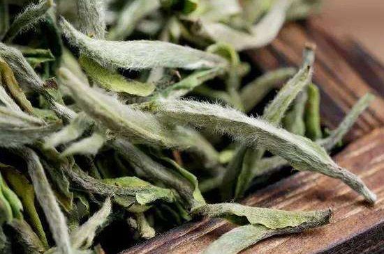 荒野銀針有什么特點，荒野銀針的味道口感咋樣？