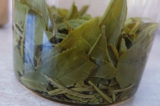 綠茶陳茶和新茶區(qū)別，綠茶怎樣區(qū)分新茶和陳茶