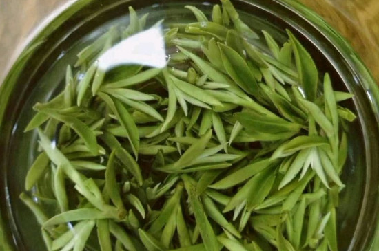 什么綠茶茶葉唇齒留香，哪個品種綠茶香氣好？