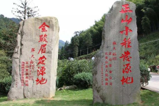 300塊錢的金駿眉能喝嗎，兩三百多金駿眉和一千多區(qū)別