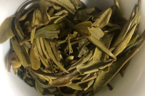 三年白茶賽砒霜，這是真的嗎？