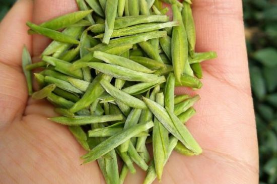 什么綠茶味道濃香，那個綠茶比較濃香？