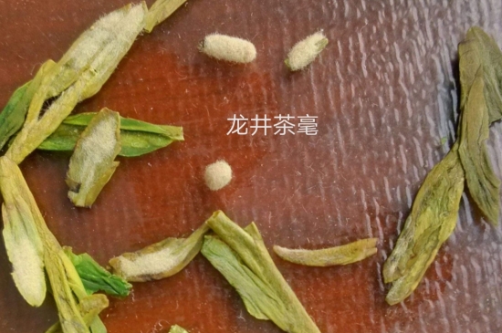 西湖龍井茶毫和發(fā)霉區(qū)別圖片，長(zhǎng)霉的龍井茶葉會(huì)是什么樣？