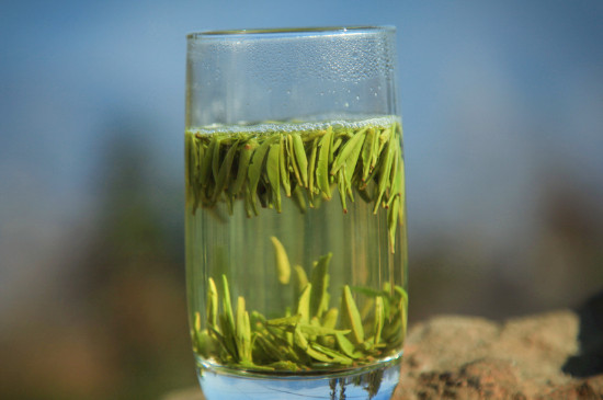 竹葉青茶泡不立起來怎么回事，竹葉青茶怎么泡立起來