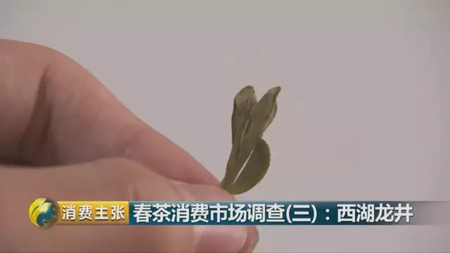 龍井群體種和43號的區(qū)別圖片，龍井43和群體種哪個好喝？