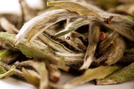 荒野銀針有什么特點，荒野銀針的味道口感咋樣？