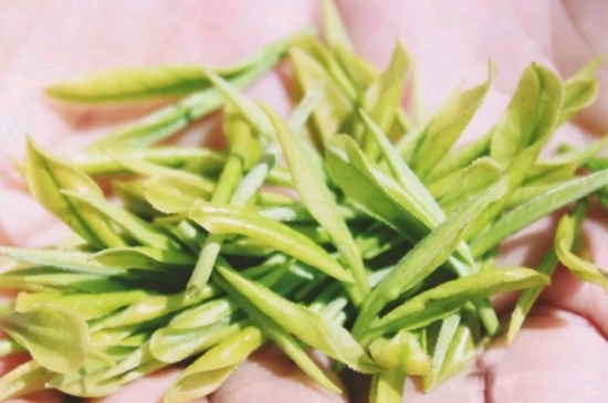 龍井是明前的好還是雨前的好，明前茶和雨前茶哪個(gè)好喝？