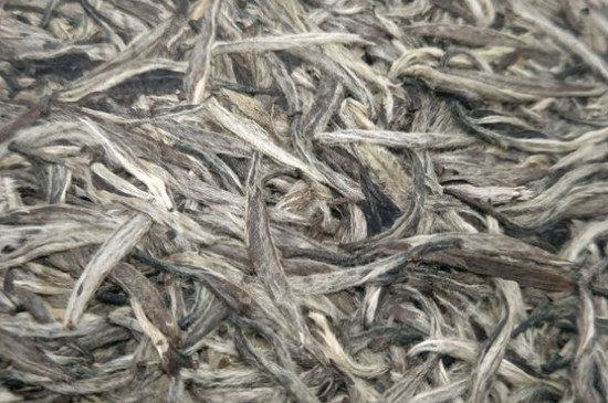 白毫銀針年份久的有什么香，陳年白毫銀針的香氣