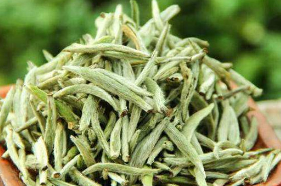 白毫銀針年份越久越好嗎，銀針白毫是否越陳越好