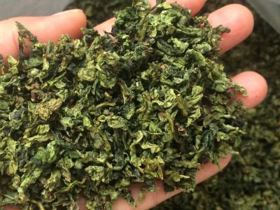 鐵觀音毛茶茶梗可以泡水喝嗎，鐵觀音帶梗是不是好茶？