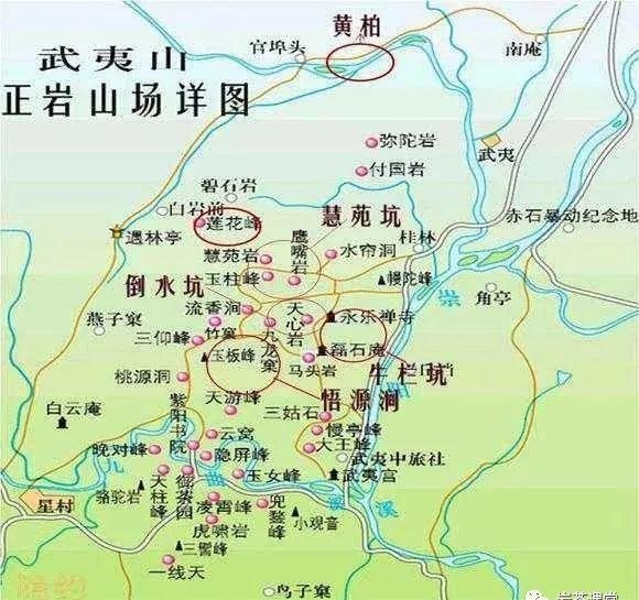 300塊錢的金駿眉能喝嗎，兩三百多金駿眉和一千多區(qū)別