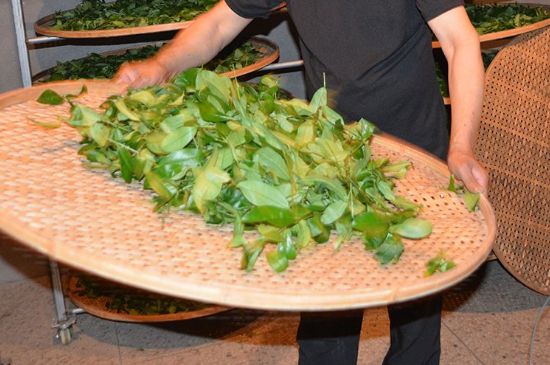 鐵觀音加香精騙局，鐵觀音的香味是添加香精了嗎？