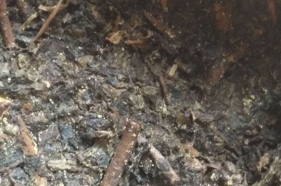 黑茶茯茶保存五大忌，茯茶收藏的注意事項(xiàng)