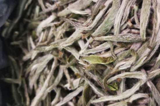 白毫銀針年份越久越好嗎，銀針白毫是否越陳越好