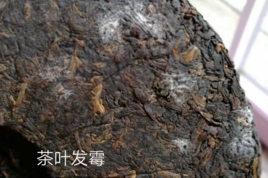 西湖龍井茶毫和發(fā)霉區(qū)別圖片，長(zhǎng)霉的龍井茶葉會(huì)是什么樣？